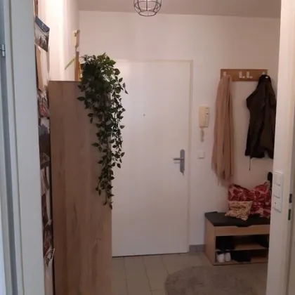 Moderne Terrassenwohnung in 1220 Wien – 2 Zimmer, 2 Balkone, Garage - Bild 2