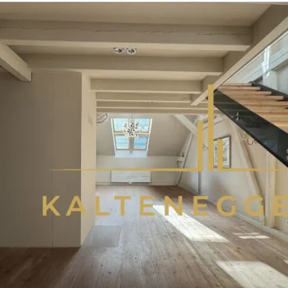 Exklusive Dachterrassenwohnung beim Museumsquartier - Bild 3