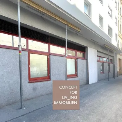 Geschäftslokal/Lagerhalle/Büro in 1200 Wien| Umgebung Hannovermarkt |pure_living - Bild 3