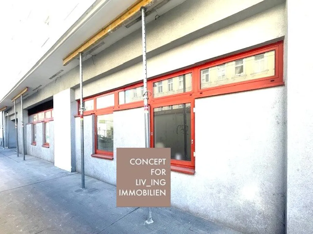 Geschäftslokal/Lagerhalle/Büro in 1200 Wien| Umgebung Hannovermarkt |pure_living - Bild 1