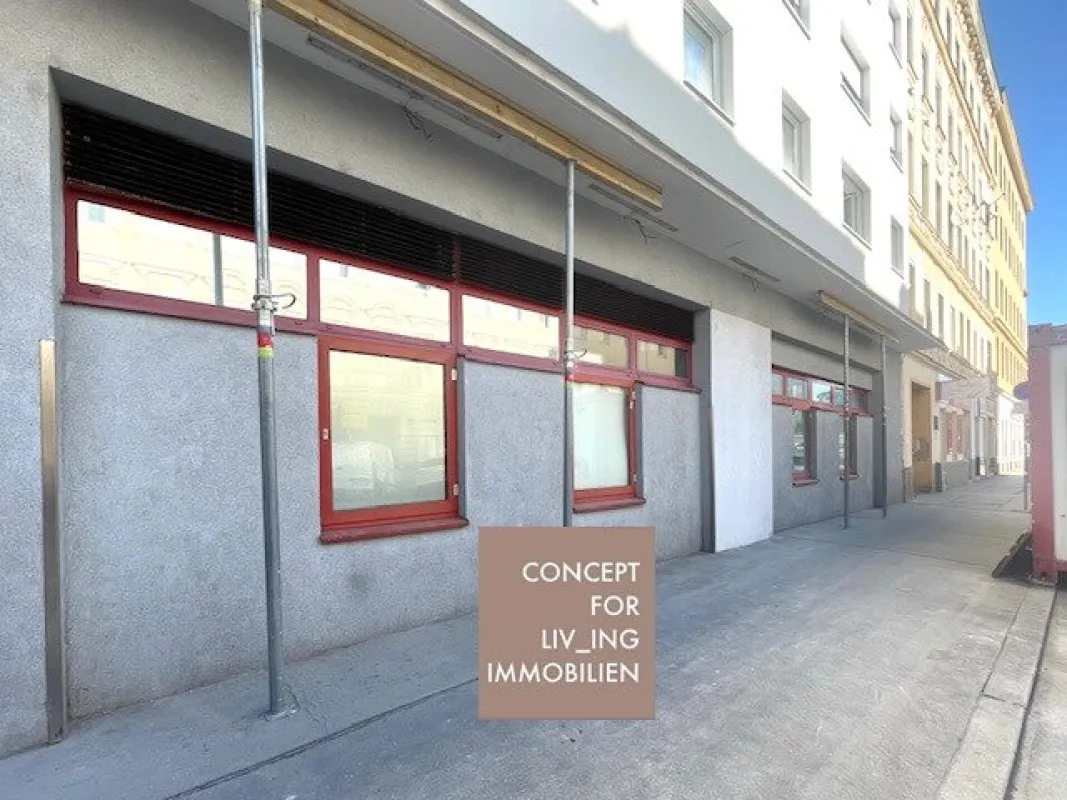 Geschäftslokal/Lagerhalle/Büro in 1200 Wien| Umgebung Hannovermarkt |pure_living - Bild 1