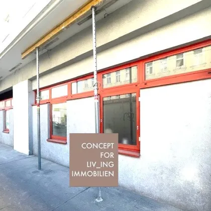 Geschäftslokal/Lagerhalle/Büro in 1200 Wien| Umgebung Hannovermarkt |pure_living - Bild 3