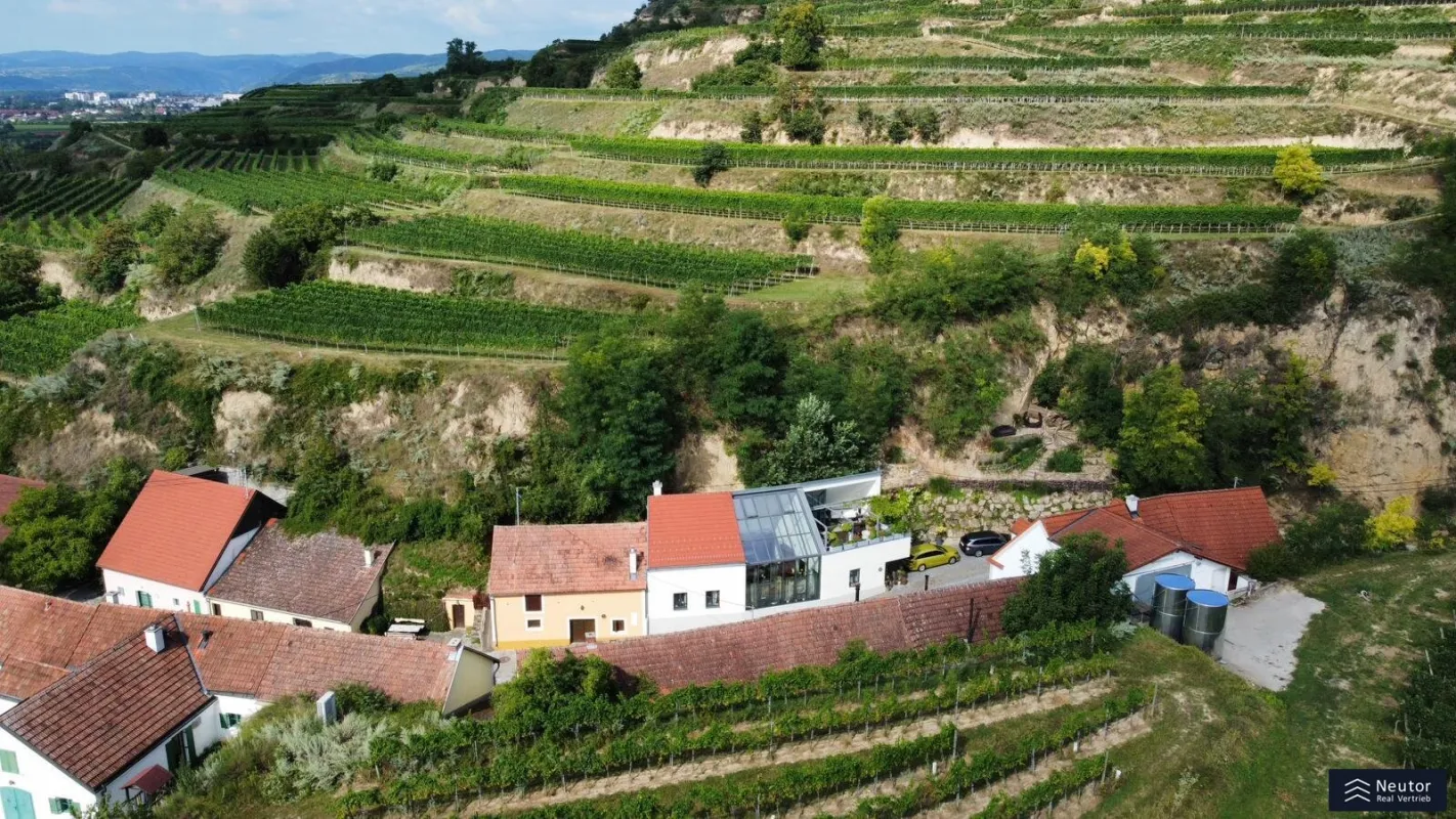 Einzigartige Liegenschaft in der Wachau | Ausgebautes Weinkeller-Loft mit WOW-Faktor - Bild 1