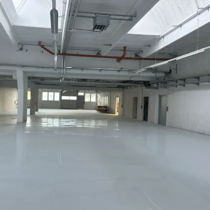 Betriebs-/Produktions- bzw. Lagerfläche mit Büroflächen und Laderampe - perfekte Kombination nächst U-Bahn. - Bild 2