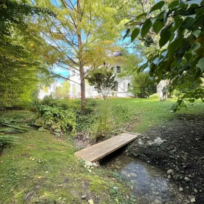 NEU! Traumhaftes Einfamilienhaus mit Gartenparadies & Bachlauf! Wohnen in Neunkirchens Bestlage! - Bild 2