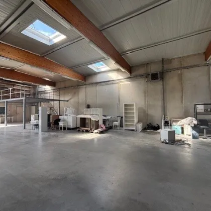 Neusiedl am See - modernes, großzügiges Bürogebäude mit Halle und Parkplatz - Bild 2