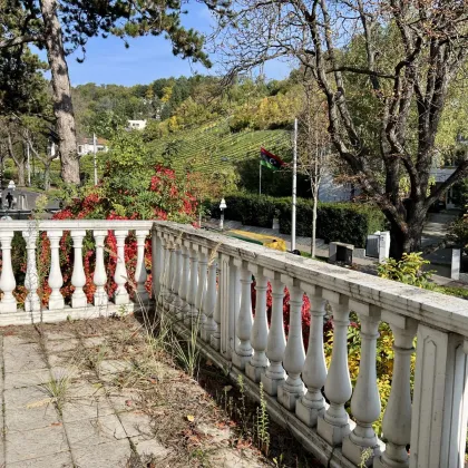 Historische Jugendstil-Villa mit Ausbaupotenzial in Grinzinger Bestlage - Bild 3