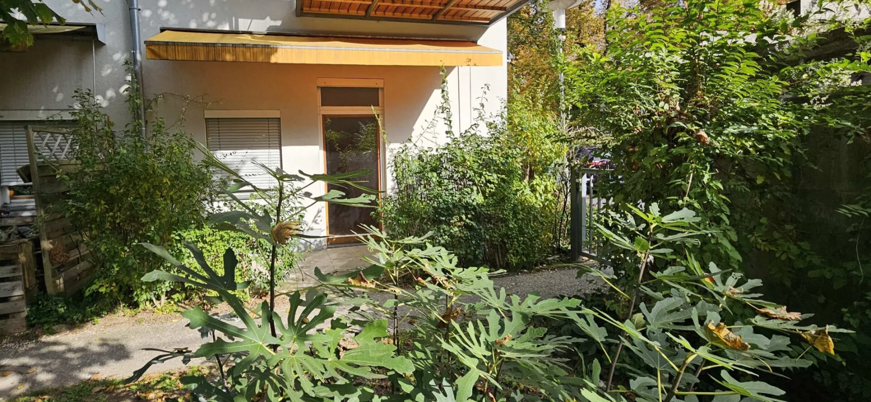 Nähe Schloss Eggenberg und FH-Joanneum: ruhig gelegene gemütliche, sonnige Wohnung mit kleiner Terrasse - Bild 1