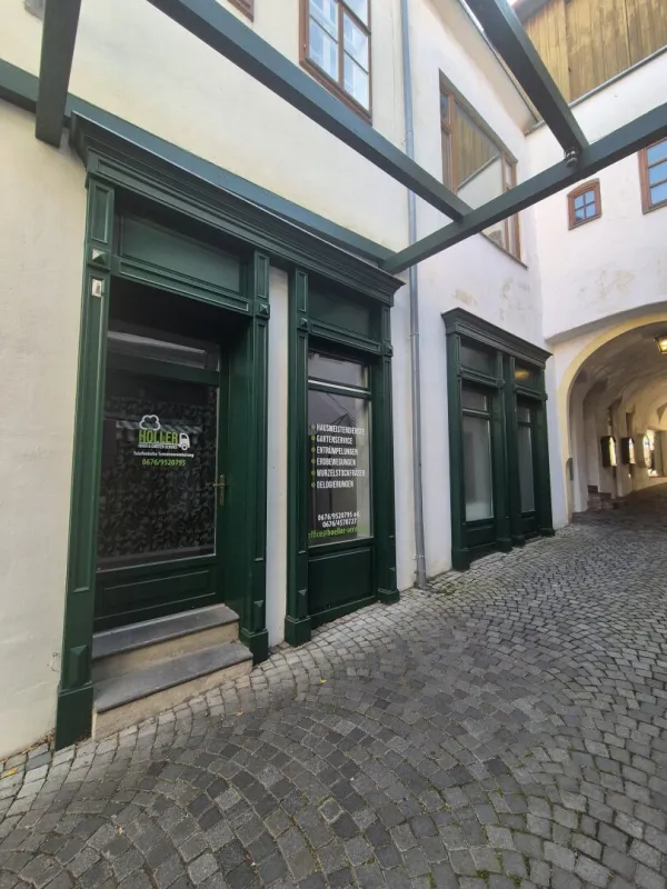 Attraktives Geschäftslokal in Neunkirchen – 34 m² im Erdgeschoss! Ideal für Ihr Geschäft! - Bild 1