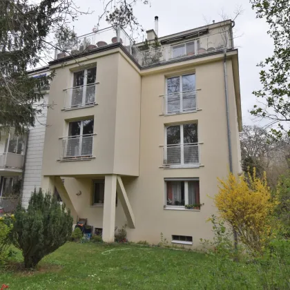 Ruhelage, 3/4 Zimmer, Haus saniert - Bild 3