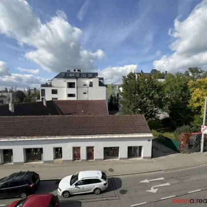 UNBEFRISTET - Charmante 4-Zimmer-Altbauwohnung mit Ankleidezimmer in ruhiger Lage von Donaustadt - Bild 3