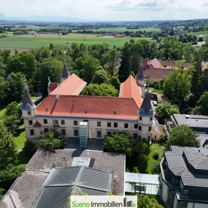 PREMIUM-Grundstück Nähe Schloss Puchberg (mit Altbestand) - Bild 3