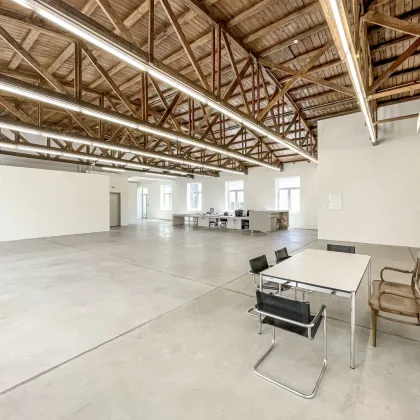 Loft in der Brotfabrik Wien mit toller Raumhöhe & riesiger Terrasse! Stellplatz verfügbar! - Bild 2