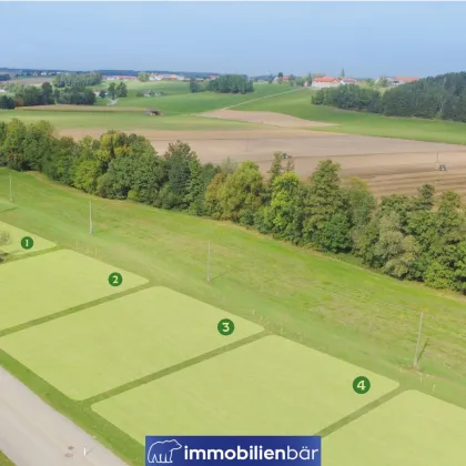 Ihr Bauplatz zum Top-Preis – aufgeschlossen & zentrumsnah in Mettmach - Bild 3