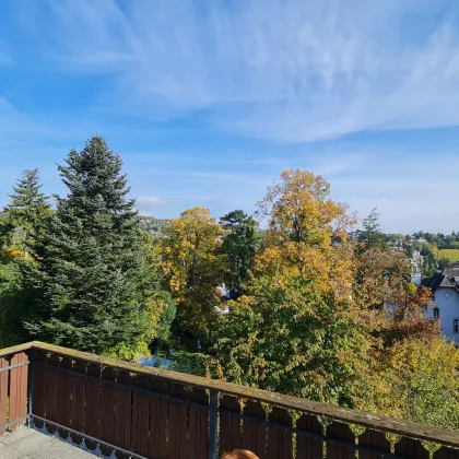 DORNBACH: Repräsentative Villa in Aussichtslage - Bild 2