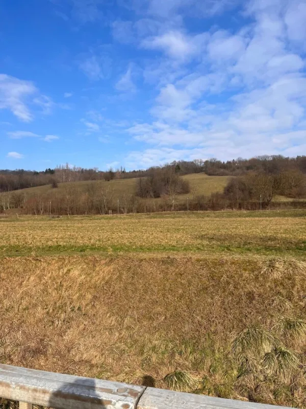 Exklusive Villa im Rohbau in Kierling – gestalten Sie Ihr Traumhaus nach Ihren Vorstellungen - Bild 1
