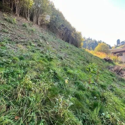 Baugrundstück in Aussichtslage - mit riesiger Grünfläche - Schwaz - Bild 3