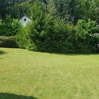 Seltene Gelegenheit: Winzerhaus auf uneinsehbarem Grundstück | ZELLMANN IMMOBILIEN - Bild 3