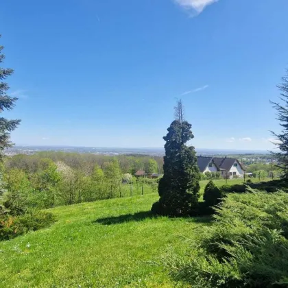 Seltene Gelegenheit: Winzerhaus auf uneinsehbarem Grundstück | ZELLMANN IMMOBILIEN - Bild 2