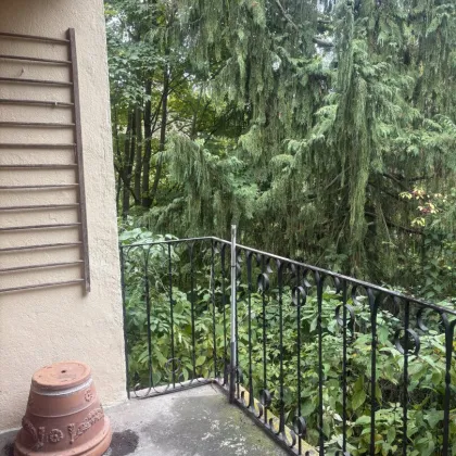Alleinstehendes  Haus  in einer absolut ruhigen Sackgasse mit Blick auf die  THAYA - Bild 2