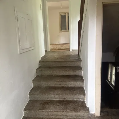 Alleinstehendes  Haus  in einer absolut ruhigen Sackgasse mit Blick auf die  THAYA - Bild 3