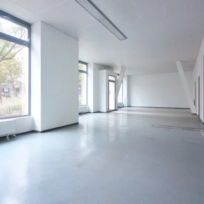 Attraktives, helles Geschäftslokal zur vielseitigen Nutzung mit guter Sichtbarkeit | flexibler Grundriss | leerstehend - Bild 3