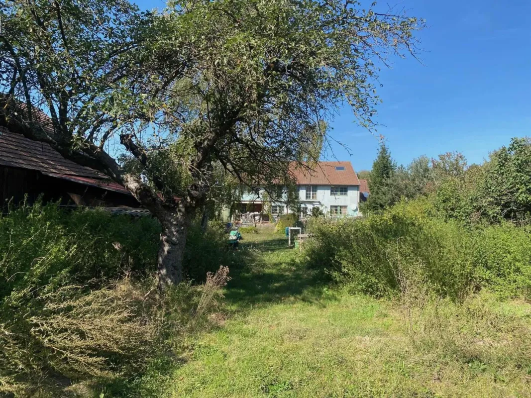 NÄHE HOCHLEITHEN/MISTELBACH: Großes Wohnhaus mit großzügigem Garten und freier Baufläche für Individualisten/Bauträger - Bild 1