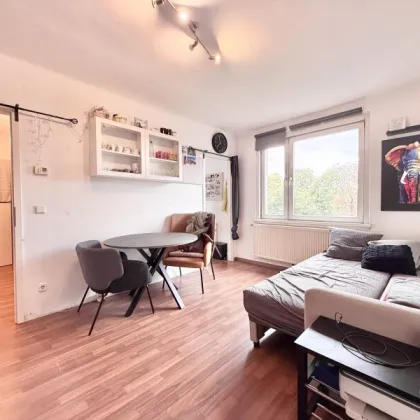 WOHNUNG ZUM SELBSTVERWIRKLICHEN - Dachgeschoss - 2 Zimmer - ca. 43 m² - Parkblick - Top Anbindung an die Innenstadt - Bild 2