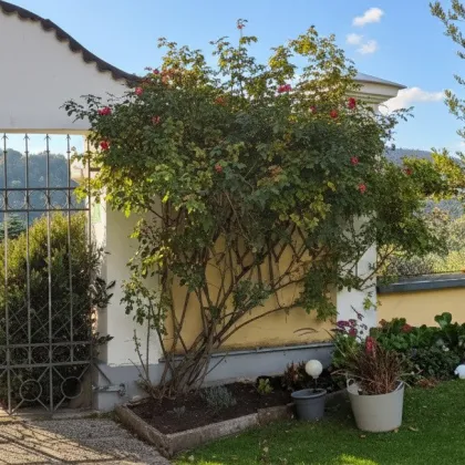 Wohnen im Schloss in Gschwandt - Bild 2