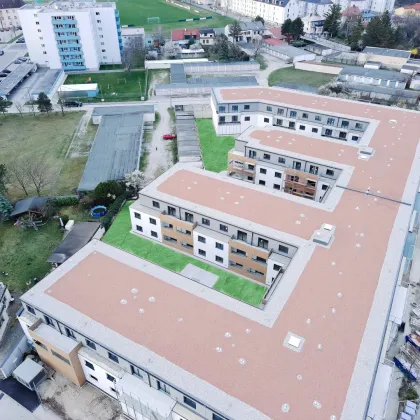 Südseitiges 2-Zimmer Apartment mit Loggia und extra Einlagerungsraum in Wiener Neustadt – jetzt mieten! - Bild 3