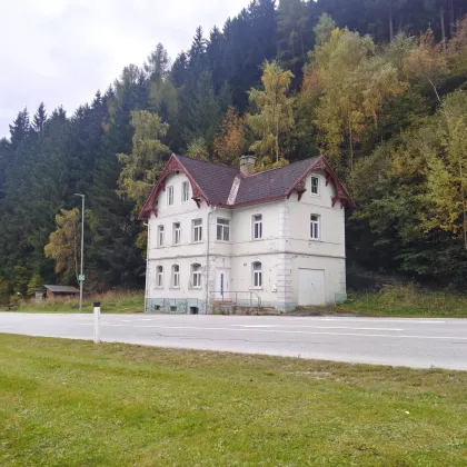 Projekt Lebens(t)raum – Sanierungsabenteuer mit Potenzial in Waldrandlage nahe Skigebiet - Bild 3
