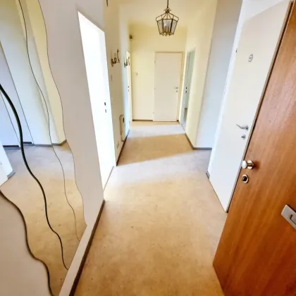 Absolute Grün- und Ruhelage! Gebraucht. Gepflegt. Geliebt! Perfekt aufgeteilte 3-Zimmer + separate Küche / 2 Balkone / Viele Möglichkeiten! Ruhig wohnen, gut leben! - Bild 3