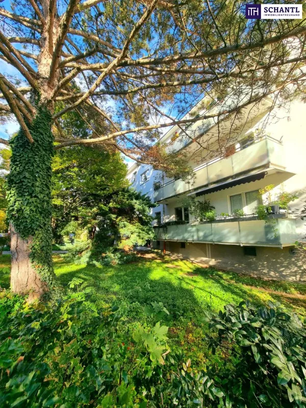 Absolute Grün- und Ruhelage! Gebraucht. Gepflegt. Geliebt! Perfekt aufgeteilte 3-Zimmer + separate Küche / 2 Balkone / Viele Möglichkeiten! Ruhig wohnen, gut leben! - Bild 1