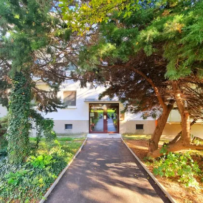 Absolute Grün- und Ruhelage! Gebraucht. Gepflegt. Geliebt! Perfekt aufgeteilte 3-Zimmer + separate Küche / 2 Balkone / Viele Möglichkeiten! Ruhig wohnen, gut leben! - Bild 2