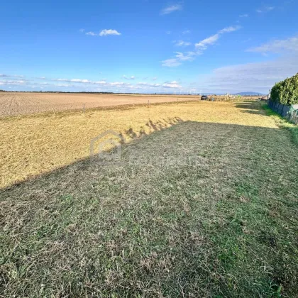 Idyllisches Freizeitgrundstück in Pframa: 150m² Garten mit Grünblick, nur 450 € pro Jahr Miete! - Bild 2