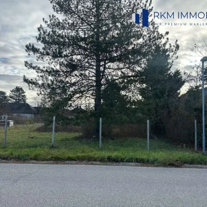Traumhaftes Baugrundstück in Gänserndorf – 1.500 m² auf zwei Parzellen um 820.000€! - Bild 3