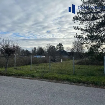 Traumhaftes Baugrundstück in Gänserndorf – 1.500 m² auf zwei Parzellen um 820.000€! - Bild 2