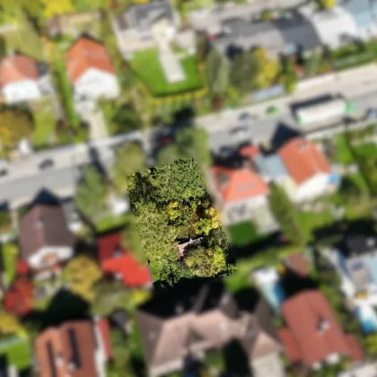 Ein Platz fürs Leben – Baugrundstück in Breitenfurt! - Bild 3