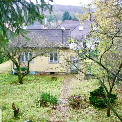 Ein Platz fürs Leben – Baugrundstück in Breitenfurt! - Bild 2