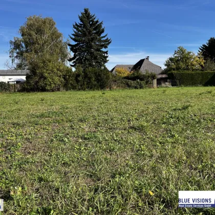 Baugrund für Ihr Traumhaus in Wolfpassing - Bild 3