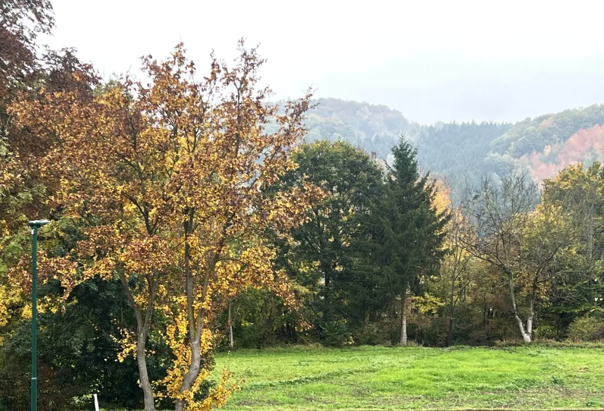 WOHNEN AM WIENERWALD - CHARMANTES EINFAMILIENHAUS - Bild 1