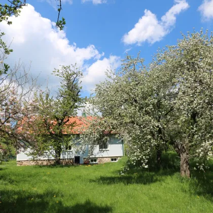 TOP-SANIERT - Entzückendes Einfamilienhaus im Grünland mit 1804 m² großem Grundstück und vielen Obstbäumen - Bild 3
