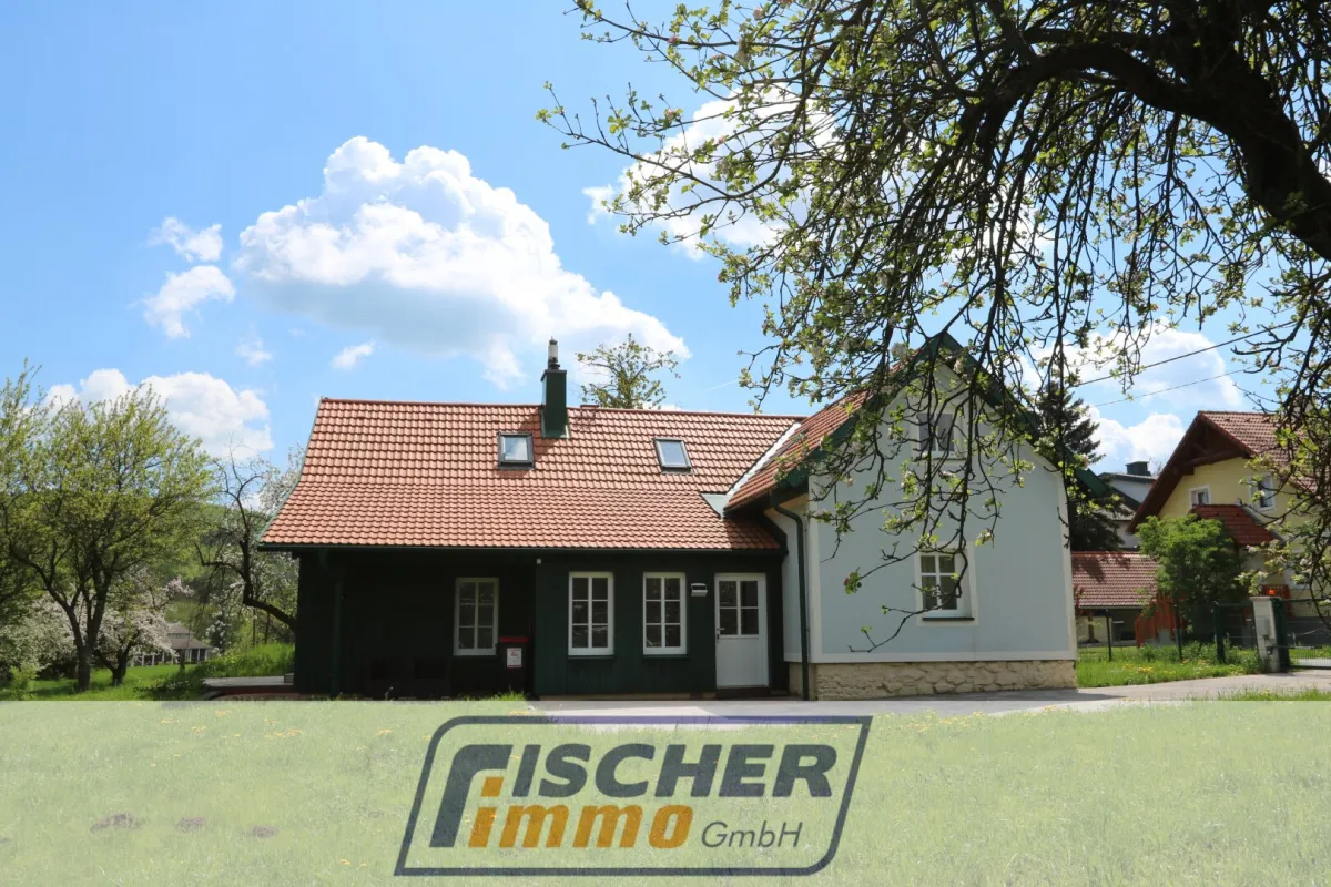 TOP-SANIERT - Entzückendes Einfamilienhaus im Grünland mit 1804 m² großem Grundstück und vielen Obstbäumen - Bild 1