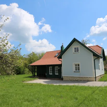 TOP-SANIERT - Entzückendes Einfamilienhaus im Grünland mit 1804 m² großem Grundstück und vielen Obstbäumen - Bild 2