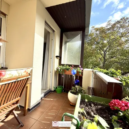 Charmante 3-Zimmer-Wohnung mit Loggia, Kamin und eigenem KFZ-Stellplatz in Maria Enzersdorf - Bild 3