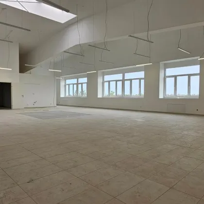 Günstige 1,5 Euro pro m² im ersten Jahr - Bild 2