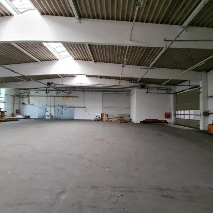 Günstige 1,5 Euro pro m² im ersten Jahr - Bild 3