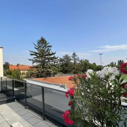 5-Zimmer-Designhaus mit Garten Keller & Dachterrassen - Bild 2