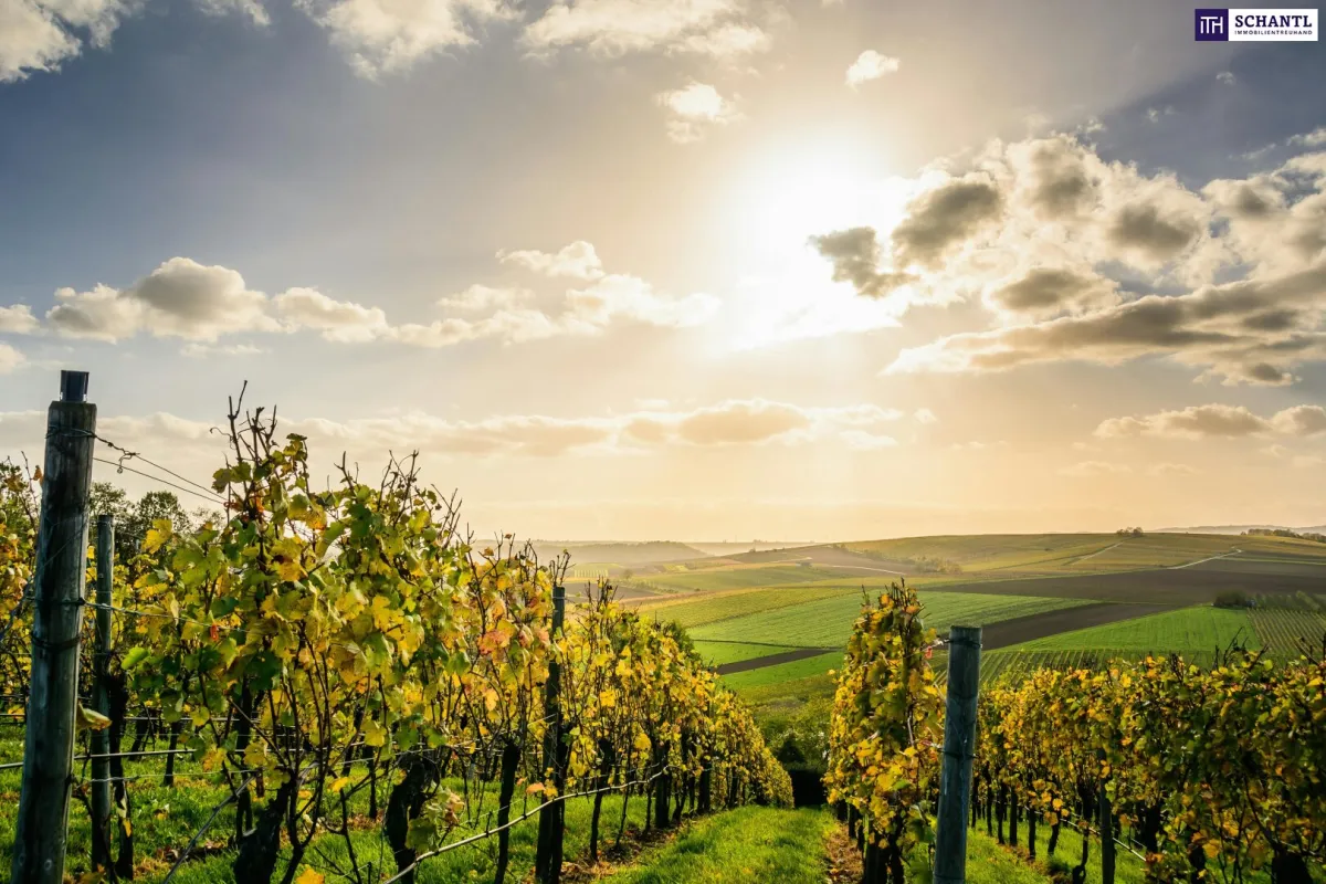 Exklusiv! Besondere Anwesen in der wunderschönen Südsteiermark – Ihr Rückzugsort mit Charme, Komfort und einen unvergleichbarem Flair! - Bild 1