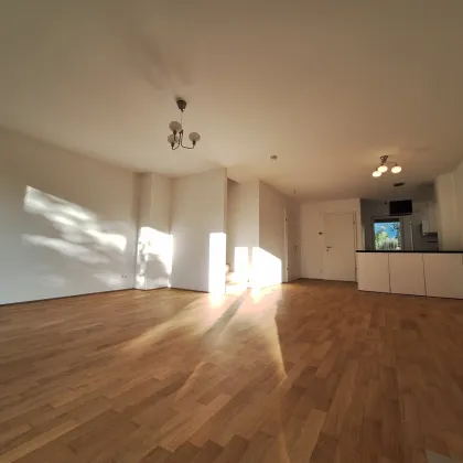 Das Gute liegt so nahe ... - Bild 3